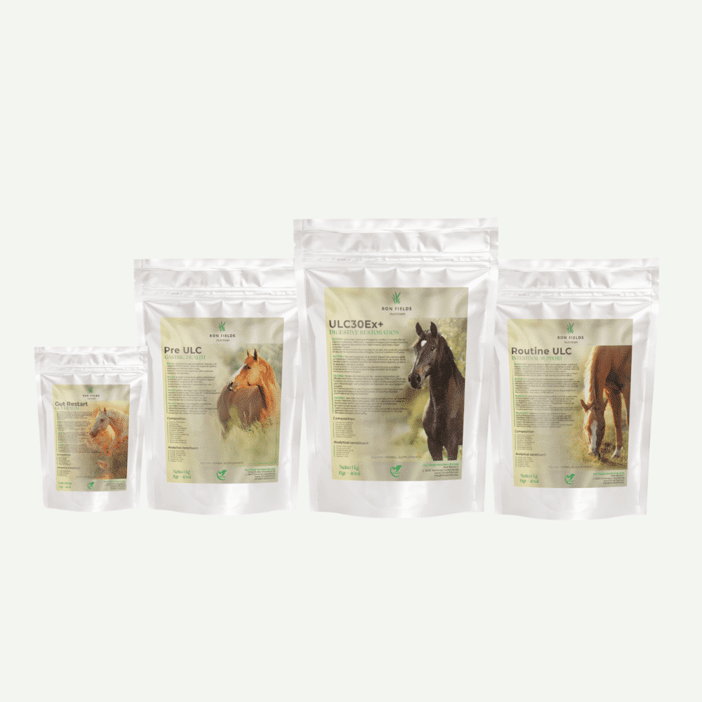 Mahan täyshoitopaketti hevoselle - Gastro Care Kit